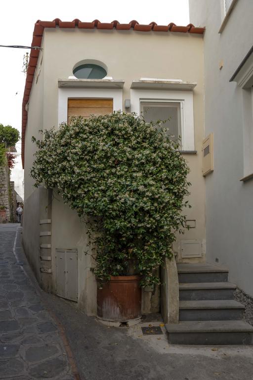 Casa Piccola By Capri 5 Senses Villa Exterior photo